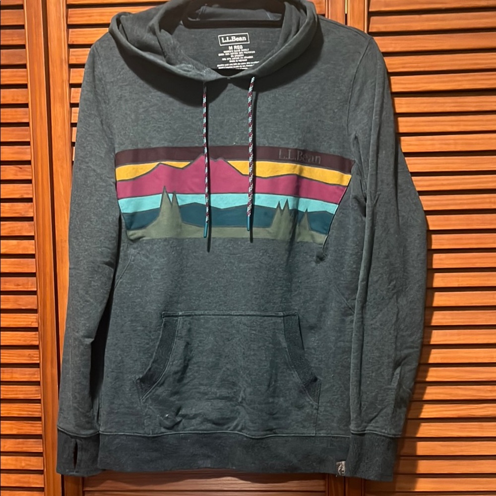 L.L. Bean teal hoodie